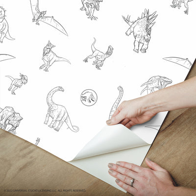 product image for JW Dinosaurs Peel & Stick Wallpaper in Black by RoomMates 49