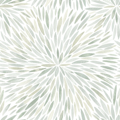 product image of Cat Coquillette Burst Peel & Stick Wallpaper in Green 540