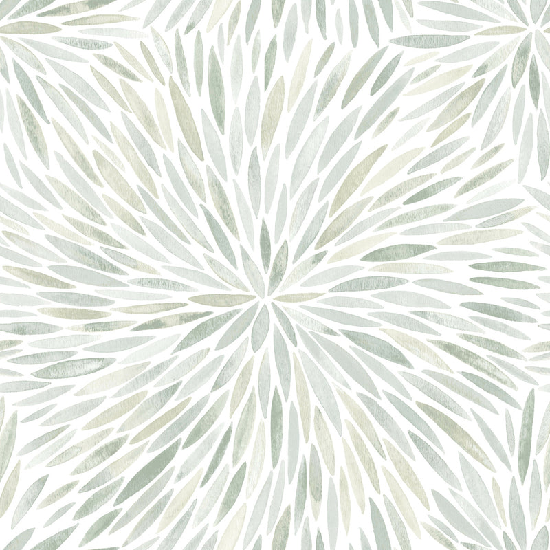 media image for sample cat coquillette burst peel stick wallpaper in green by roommates 1 263