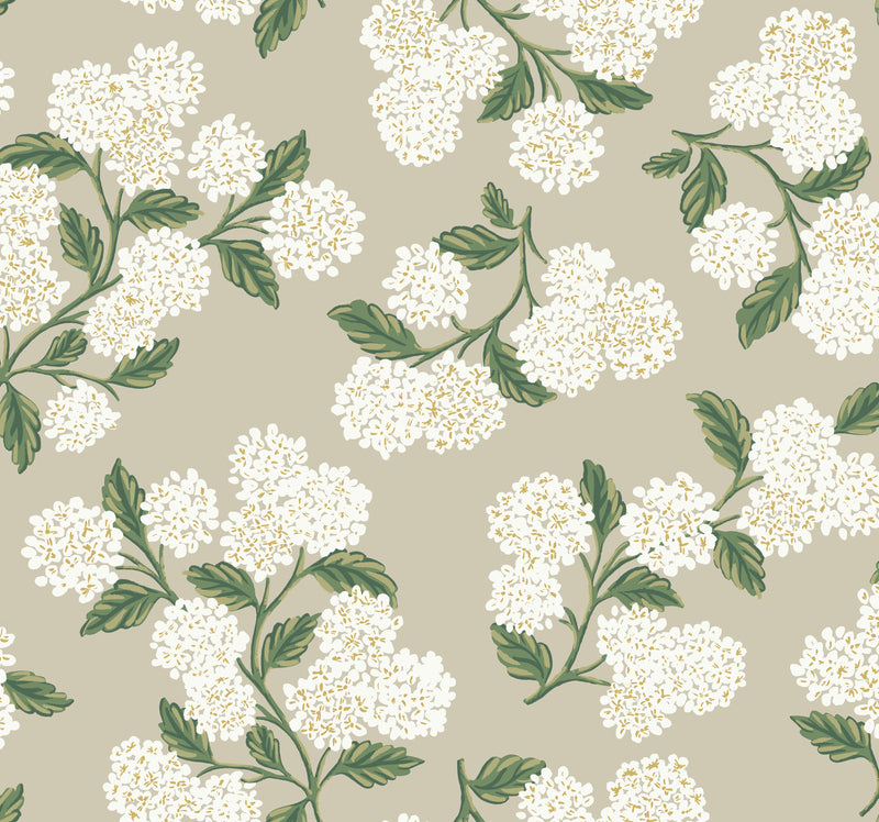 media image for Hydrangea Wallpaper in Linen from the Rifle Paper Co. 2nd Edition by York Wallcoverings 249