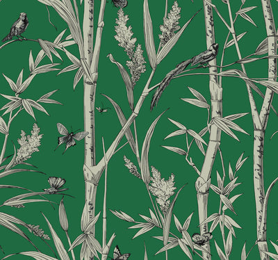 product image for Bambou Toile Wallpaper in Green 56