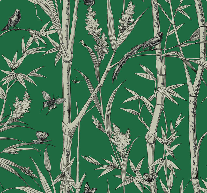 media image for Bambou Toile Wallpaper in Green 225