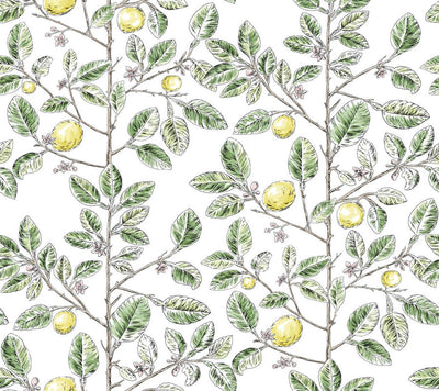 product image of Limoncello Toile Wallpaper in Green 582