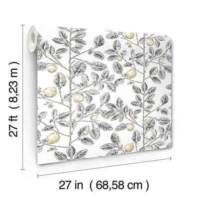 product image for Limoncello Toile Wallpaper in Black 48