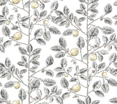 product image for Limoncello Toile Wallpaper in Black 19