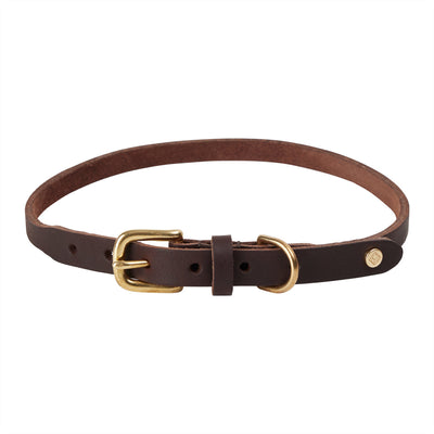 product image for robin dog collar choko 4 64