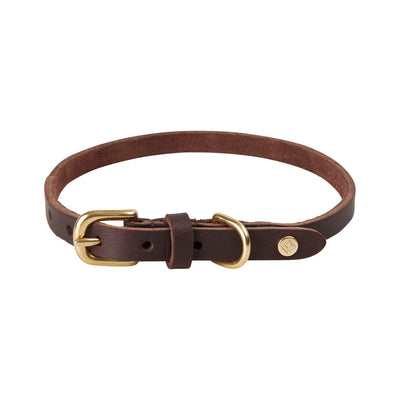 product image for robin dog collar choko 3 30