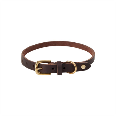 product image of robin dog collar choko 1 55
