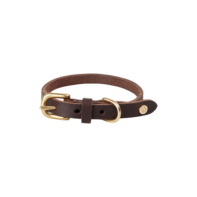 product image for robin dog collar choko 2 33