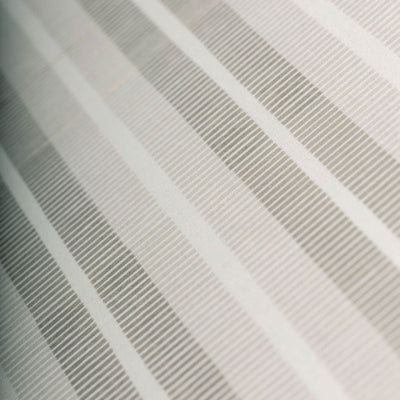 product image for Ribbon Stripe Silk Wallpaper in Alabaster 80
