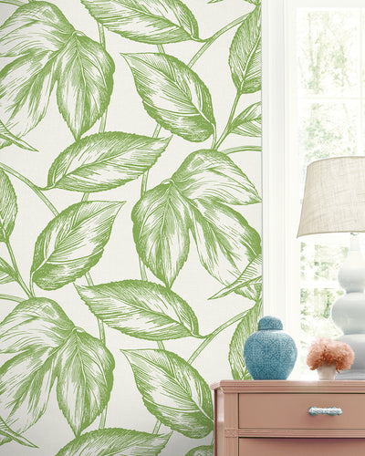 product image for Beckett Sketched Leaves Wallpaper in Apple Green 34