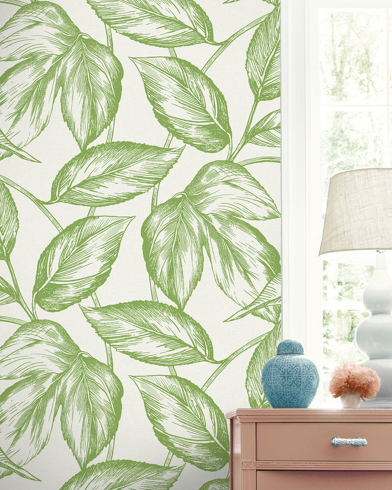 media image for Beckett Sketched Leaves Wallpaper in Apple Green 250