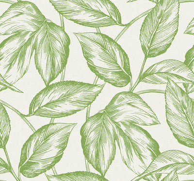 product image for Beckett Sketched Leaves Wallpaper in Apple Green 7