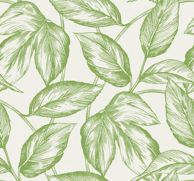 media image for Beckett Sketched Leaves Wallpaper in Apple Green 233