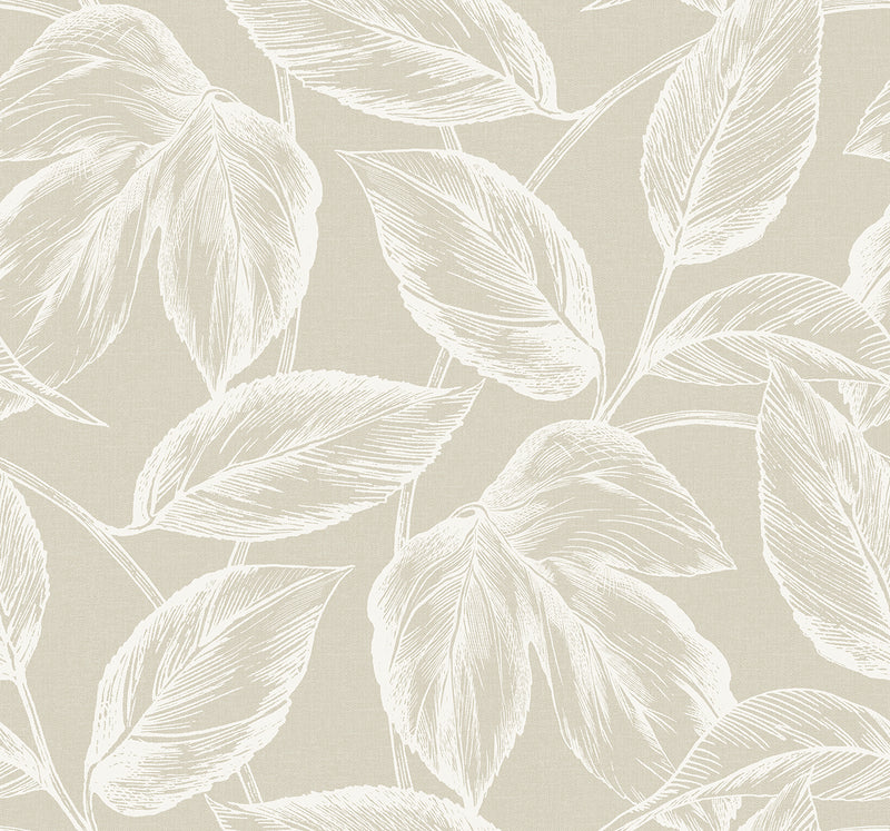 Shop Sample Beckett Sketched Leaves Wallpaper in Oat | Burke Decor