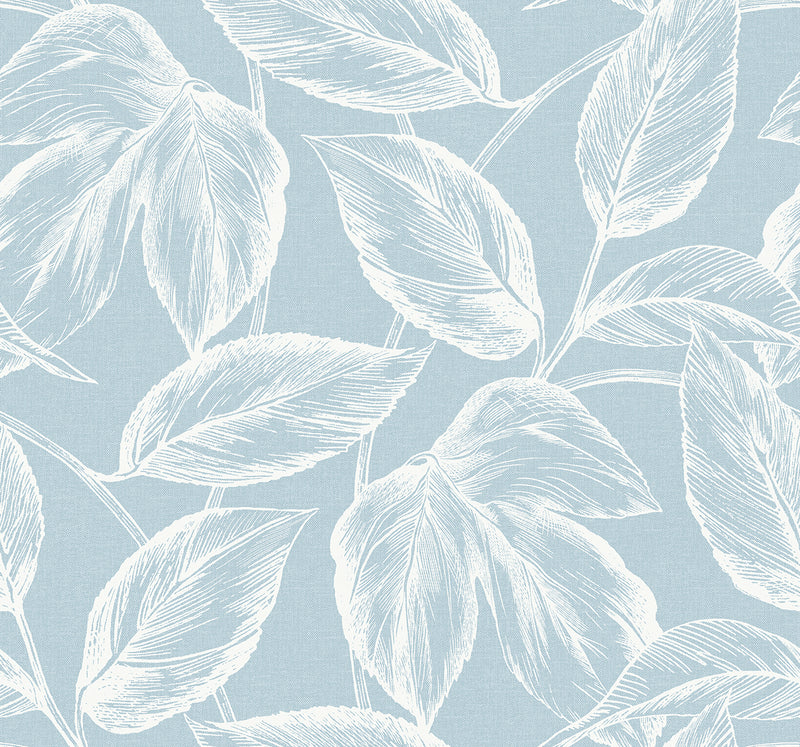 media image for Beckett Sketched Leaves Wallpaper in Baby Blue 283