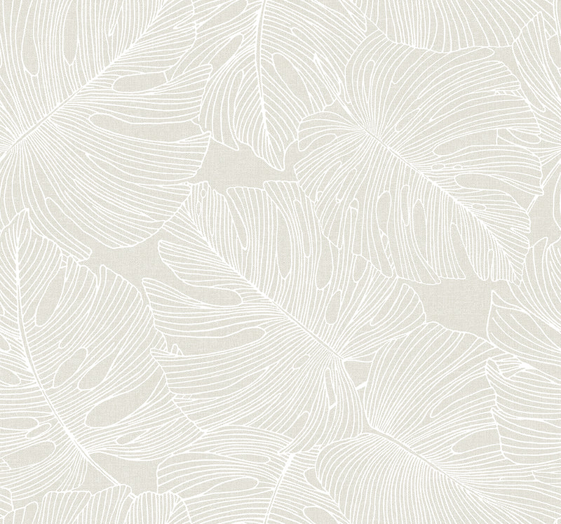 media image for Tarra Monstera Leaf Wallpaper in White Sand 267