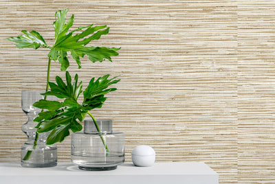 product image for Grasscloth Peel-and-Stick Wallpaper in Hemp by Stacy Garcia for NextWall 81