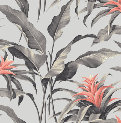 product image of Palma Peel-and-Stick Wallpaper in Metallic and Coral by Stacy Garcia for NextWall 581