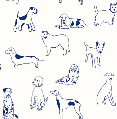 product image of sample best in show peel and stick wallpaper in indigo by stacy garcia for nextwall 1 528