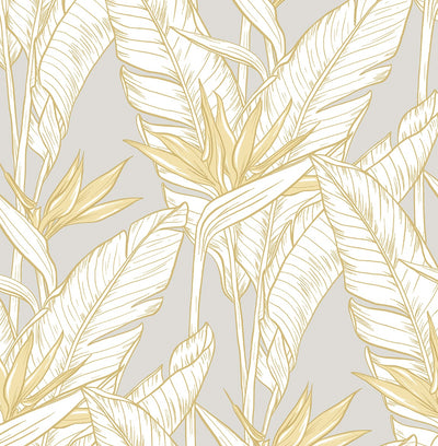 product image of Birds of Paradise Peel & Stick Wallpaper in Grey/Gold by Stacy Garcia 522