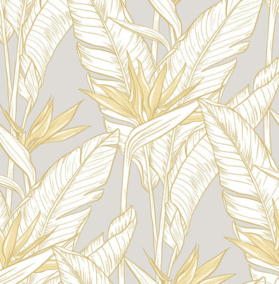 product image of Birds of Paradise Peel & Stick Wallpaper in Grey/Gold by Stacy Garcia 526