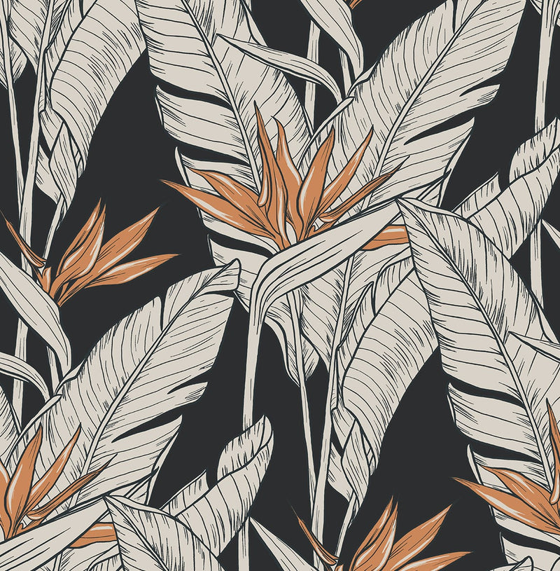 media image for Birds of Paradise Peel & Stick Wallpaper in Onyx/Copper by Stacy Garcia 274