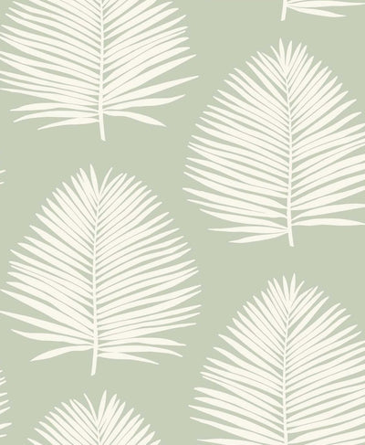 product image of Island Palm Wallpaper in Celadon from the Simple Life Collection by Seabrook Wallcoverings 512