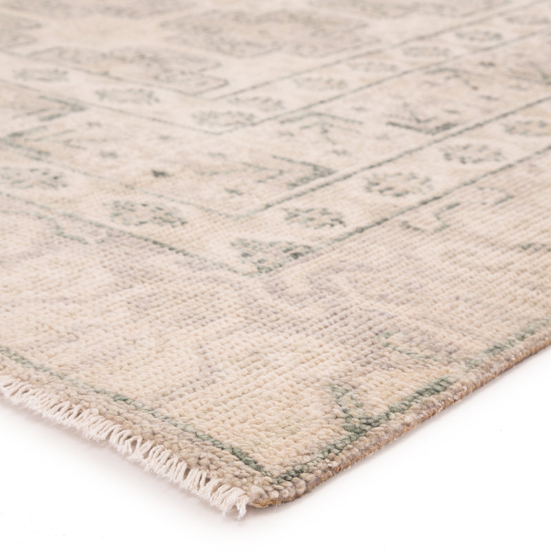 media image for stage border rug in oatmeal whitecap gray design by jaipur 2 246
