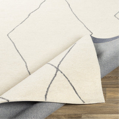 product image for Sinop SNP-2306 Hand Tufted Rug in Cream & Charcoal by Surya 32