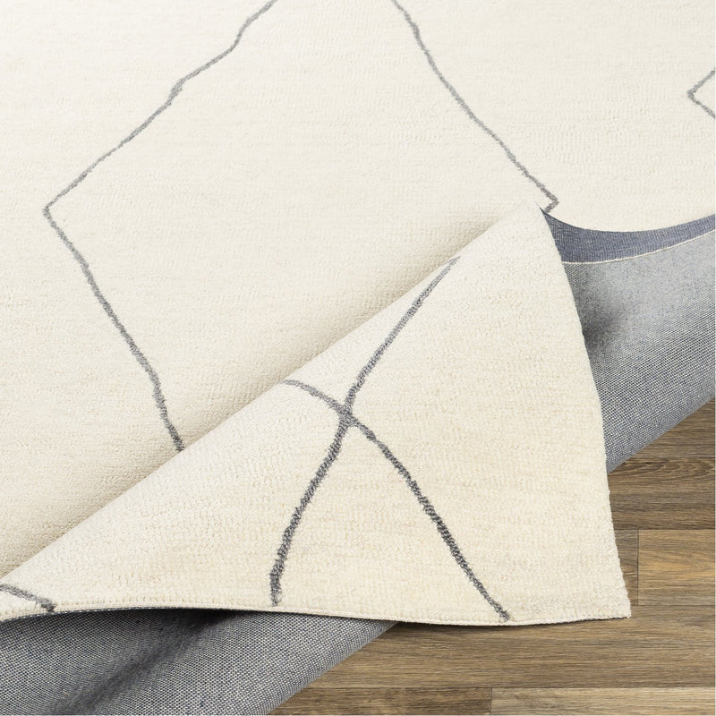 media image for Sinop SNP-2306 Hand Tufted Rug in Cream & Charcoal by Surya 254