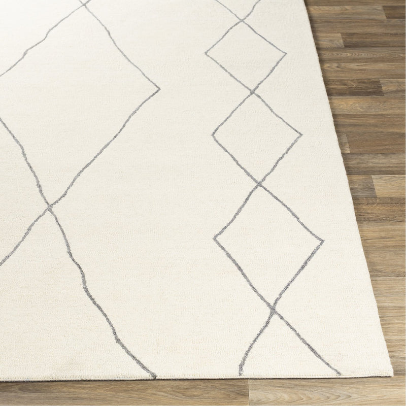 media image for Sinop SNP-2306 Hand Tufted Rug in Cream & Charcoal by Surya 265