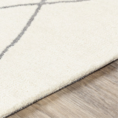 product image for Sinop SNP-2306 Hand Tufted Rug in Cream & Charcoal by Surya 10
