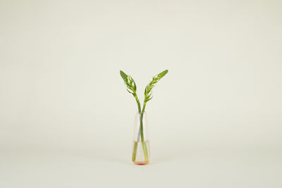 product image for Aurora Vase in Various Sizes & Colors 3