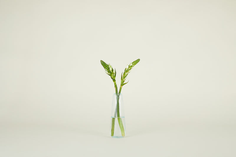 media image for Aurora Vase in Various Sizes & Colors 212