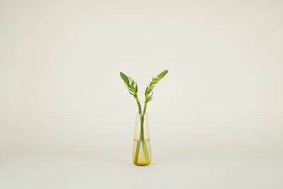 product image for Aurora Vase in Various Sizes & Colors 30
