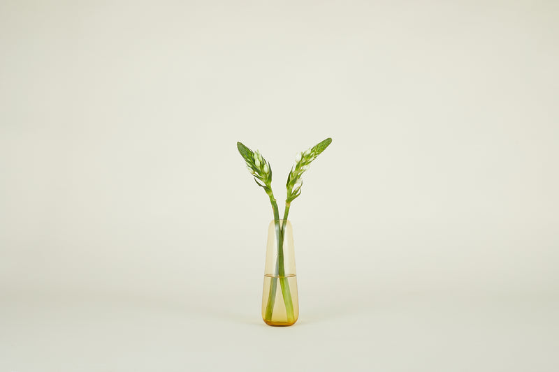 media image for Aurora Vase in Various Sizes & Colors 214