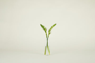 product image for Aurora Vase in Various Sizes & Colors 87