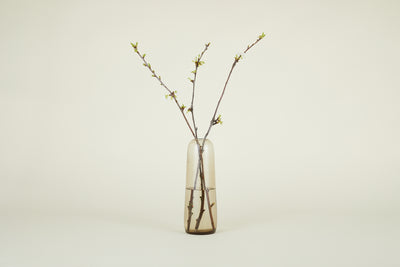 product image for Aurora Vase in Various Sizes & Colors 76