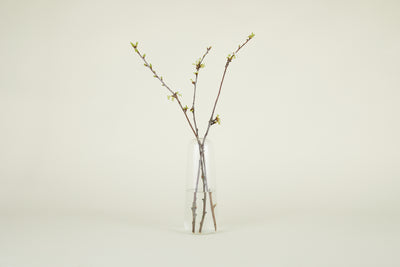 product image for Aurora Vase in Various Sizes & Colors 86