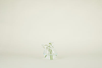product image for Aurora Vase in Various Sizes & Colors 29