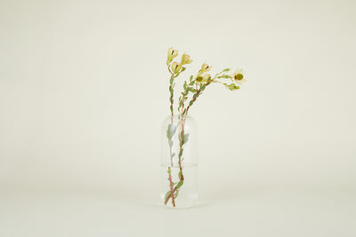product image for Aurora Vase in Various Sizes & Colors 72