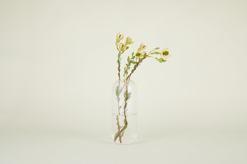 media image for Aurora Vase in Various Sizes & Colors 226