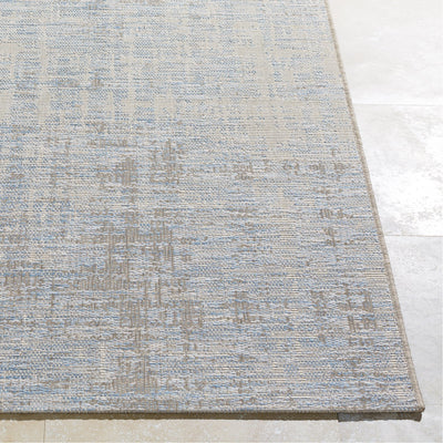 product image for Santa Cruz STZ-6013 Rug in Sky Blue & Taupe by Surya 21