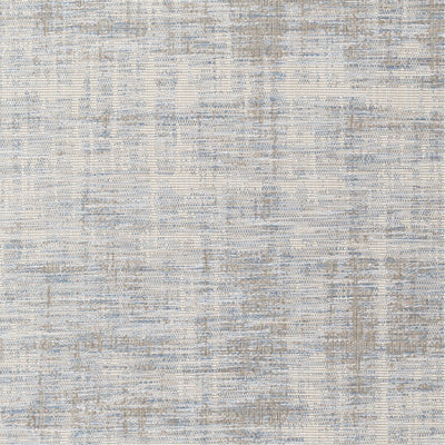 product image for Santa Cruz STZ-6013 Rug in Sky Blue & Taupe by Surya 70