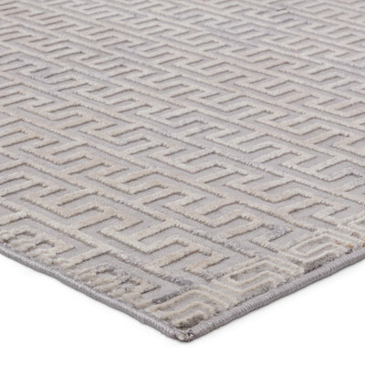 product image for baxley geometric gray beige area rug by jaipur living rug155955 3 43