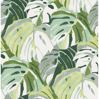 product image of sample samara monstera leaf wallpaper in green from the pacifica collection by brewster home fashions 1 53
