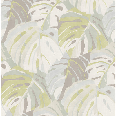 product image of Samara Monstera Leaf Wallpaper in Lime from the Pacifica Collection by Brewster Home Fashions 522