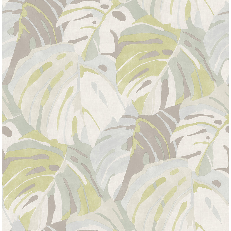 media image for Samara Monstera Leaf Wallpaper in Lime from the Pacifica Collection by Brewster Home Fashions 210