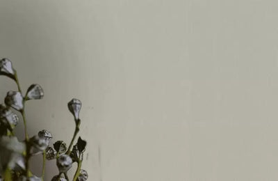 product image for Sand Grain Stripes 32505 Wallpaper by BD Wall 68